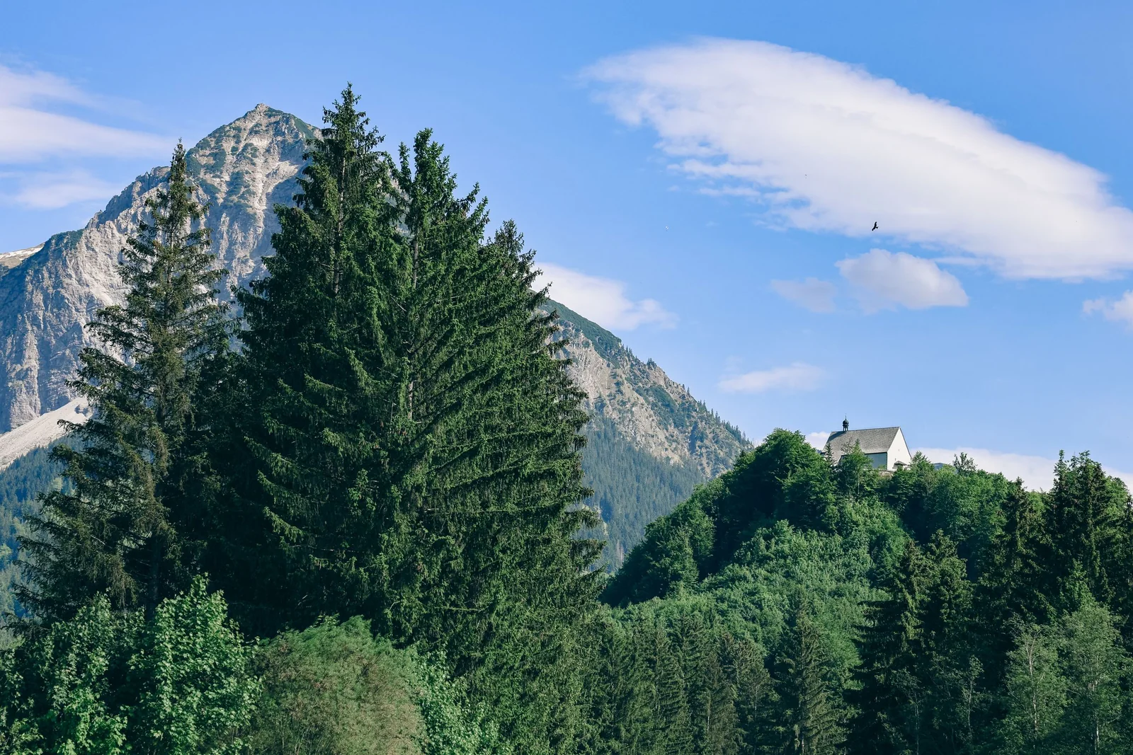 Region Oberschwaben & Allgäu – Einsatzgebiet Schlüsseldienst Riedlingen