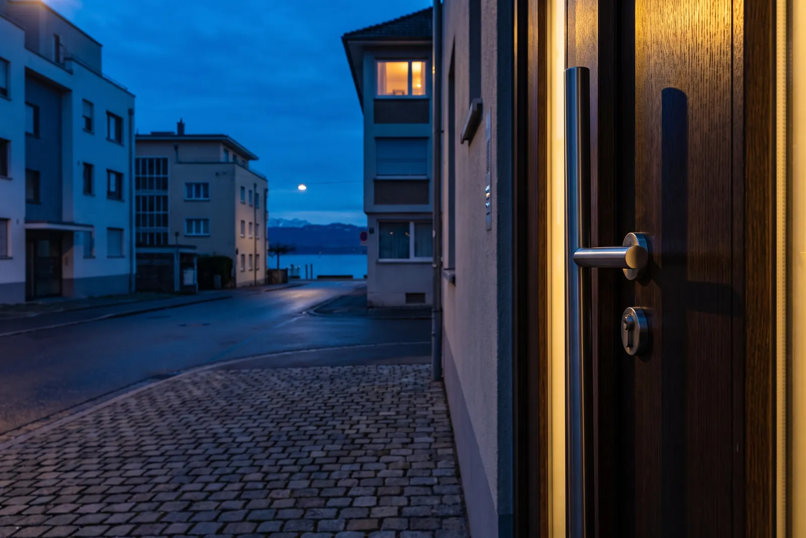 Symbolbild: moderne Haustür mit Edelstahlgriff und Profilzylinder, dahinter eine Straße hinunter zum See – Einsatzgebiet Schlüsseldienst Friedrichshafen
